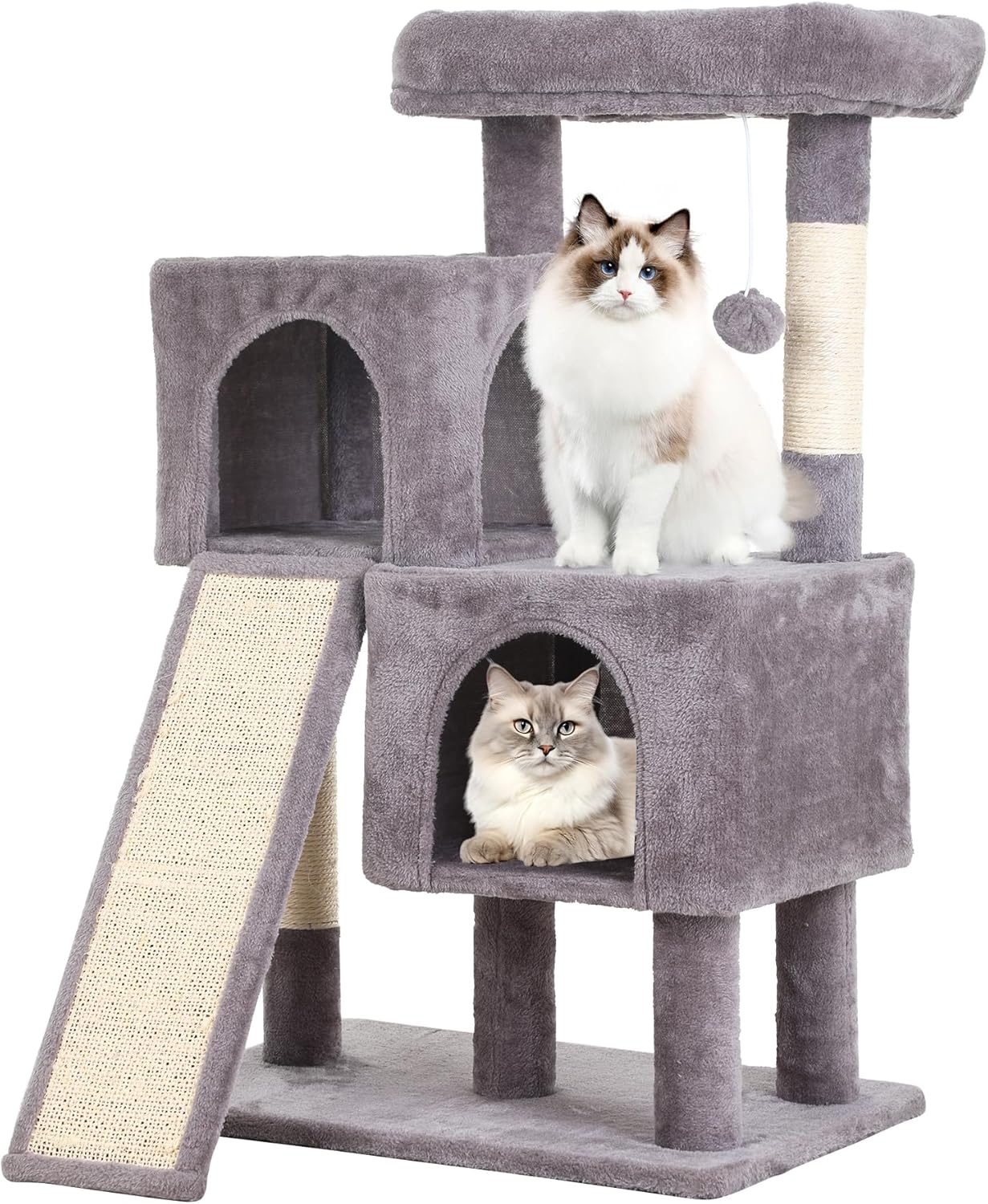 Create the Ultimate Indoor Paradise for Your Feline Friend