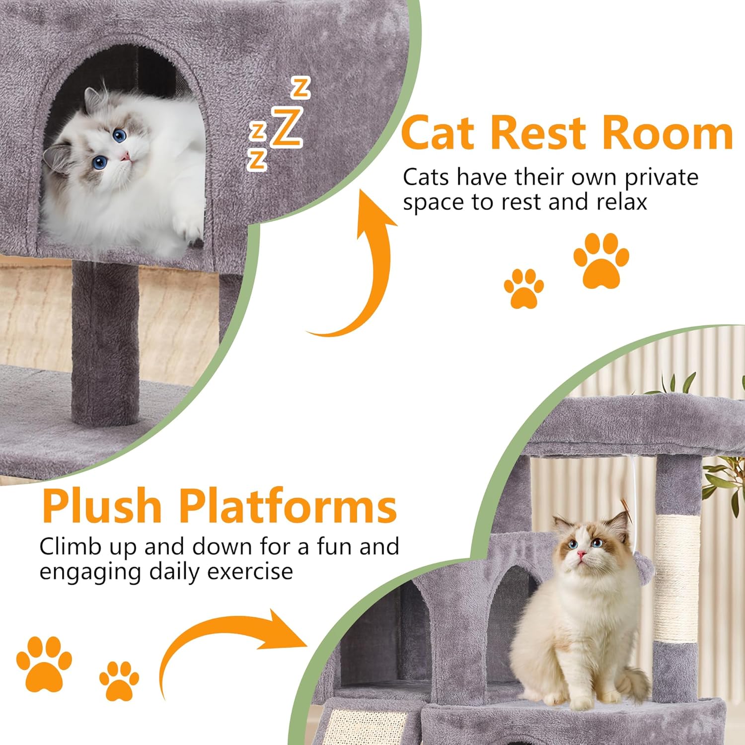 Create the Ultimate Indoor Paradise for Your Feline Friend