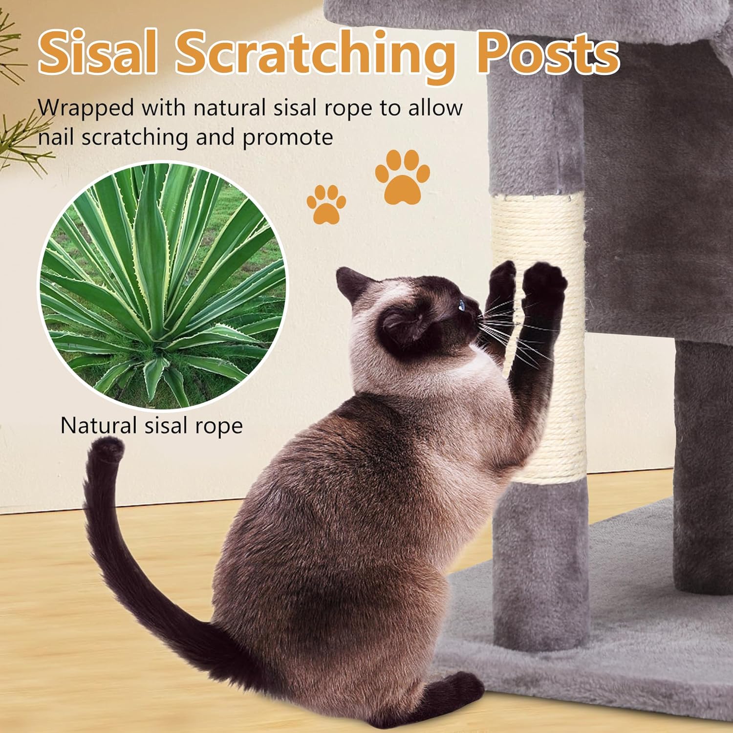 Create the Ultimate Indoor Paradise for Your Feline Friend