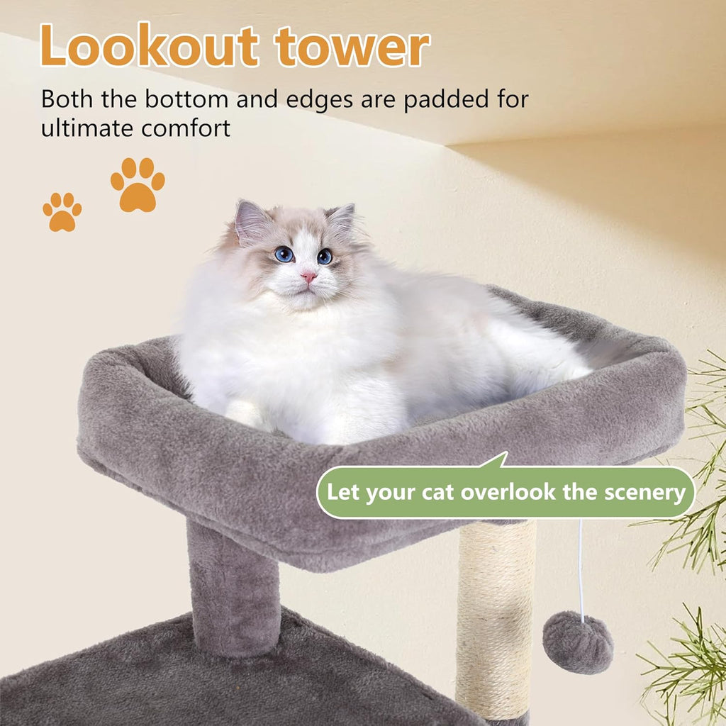 Create the Ultimate Indoor Paradise for Your Feline Friend